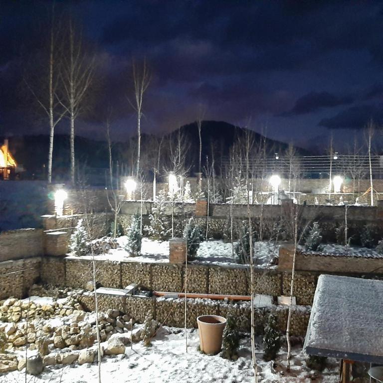 Casa Cu Mesteceni Rîşnov Esterno foto