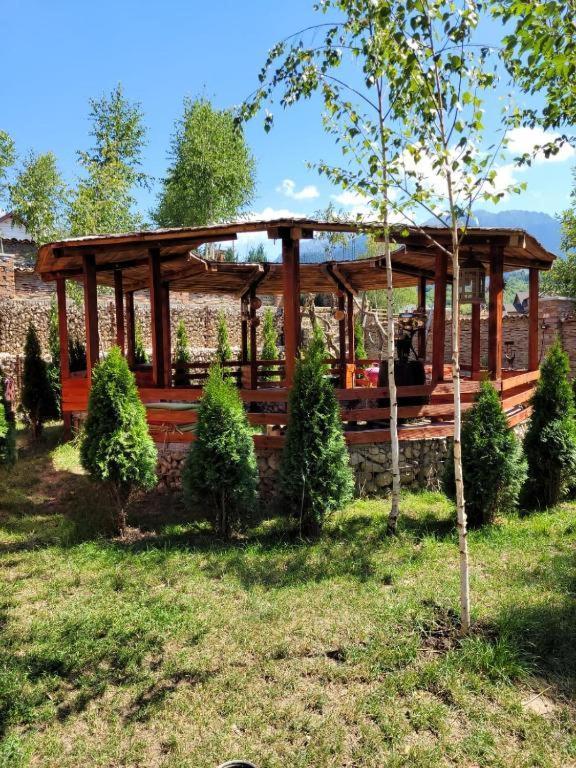 Casa Cu Mesteceni Rîşnov Esterno foto