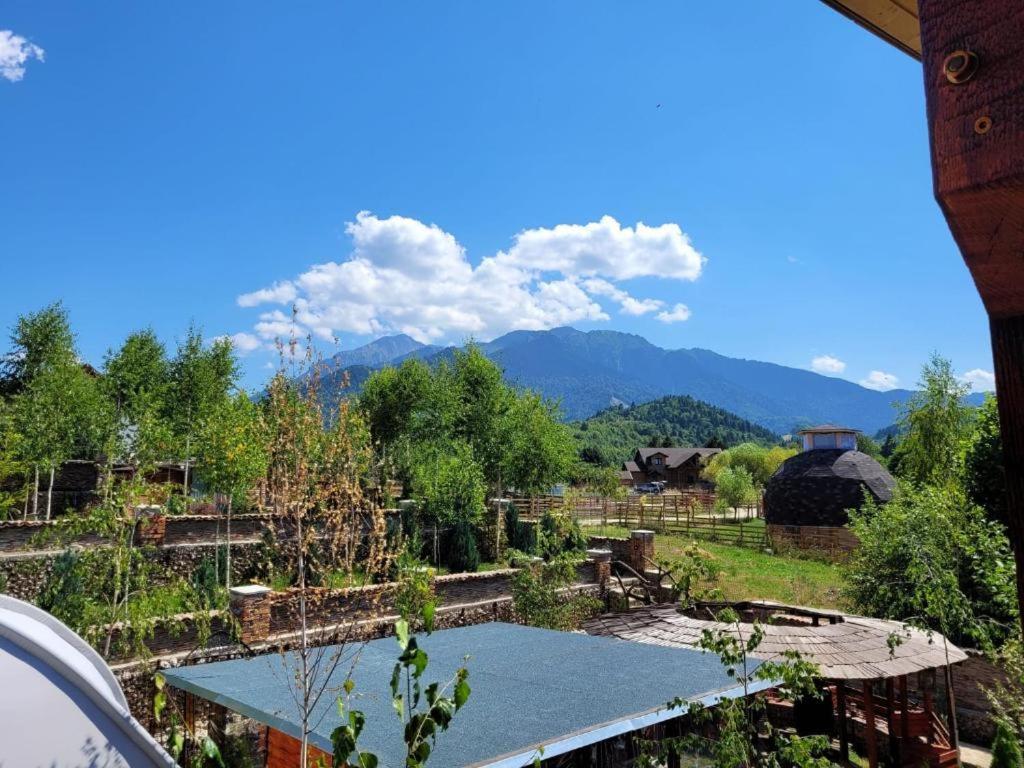 Casa Cu Mesteceni Rîşnov Esterno foto