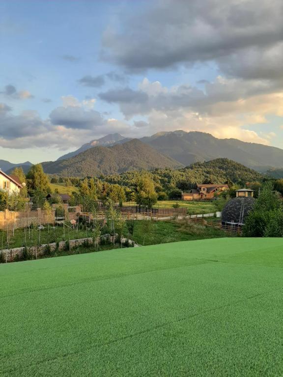 Casa Cu Mesteceni Rîşnov Esterno foto